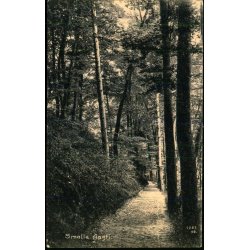 Smalle Aasti  - A. Jensens Bogh. 1252 - Brugt