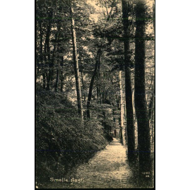 Smalle Aasti  - A. Jensens Bogh. 1252 - Brugt