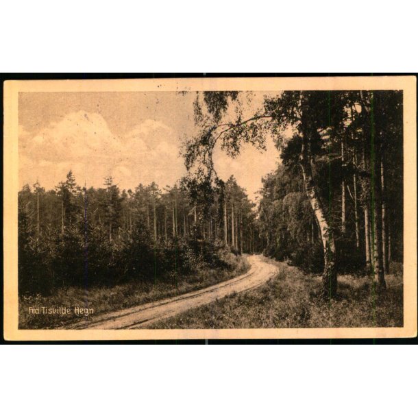 Fra Tisvilde Hegn - A. Jensens Bogh. 43407 - Brugt