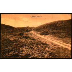 Rebild Bakker - J. Broersen 11 - Brugt