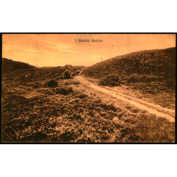 Rebild Bakker - J. Broersen 11 - Brugt