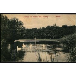 Udsigt fra Munke Mose Anl�g - Odense - J. Pedersen u/n - Brugt