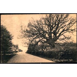 Taasinge - Ambrosius- Egen - Chr. G. Kielberg 5 - Brugt