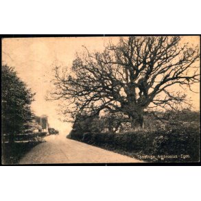 Taasinge - Ambrosius- Egen - Chr. G. Kielberg 5 - Brugt