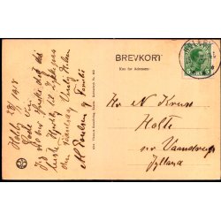 Parti ved Tisvildeleje - Alex Vincent 382