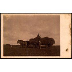 Fotokort Ukendt - Hestevogn - Ubrugt