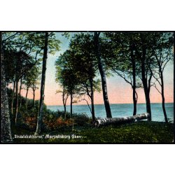 Sindalsbakkerne - Marselisborg Skov - Alex Vincent 94 - Ubrugt