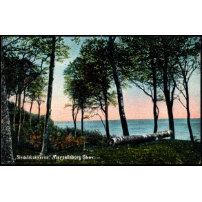 Sindalsbakkerne - Marselisborg Skov - Alex Vincent 94 - Ubrugt