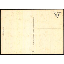 Kal� Slotsruin -  Gr�nlund 9905 - Ubrugt