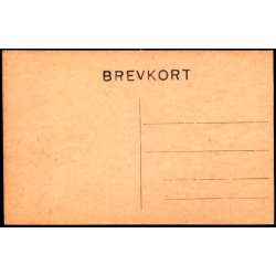 Kbenhavn - Raadhuspladsen - u/n