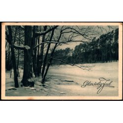 VORLADEGAARD p Postkort