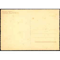 Kbenhavn - Raadhuset - Rudolf Olsen u/n - Ubrugt