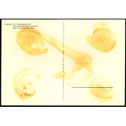 Odense - H.C. Andersens Hus - O.P.O. 6574 - 12 - Ubrugt