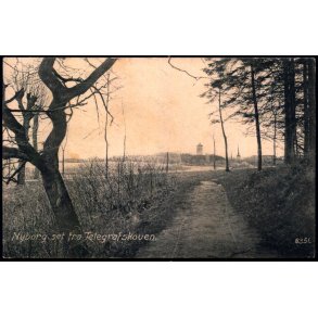 Nyborg set fra Telegrafskoven - J. Hansen 8351 - Brugt