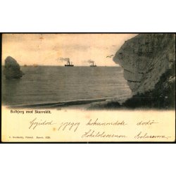 Bulbjerg med Skarreklit - C. Buchholtz 1229 - Brugt