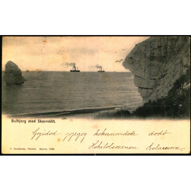Bulbjerg med Skarreklit - C. Buchholtz 1229 - Brugt