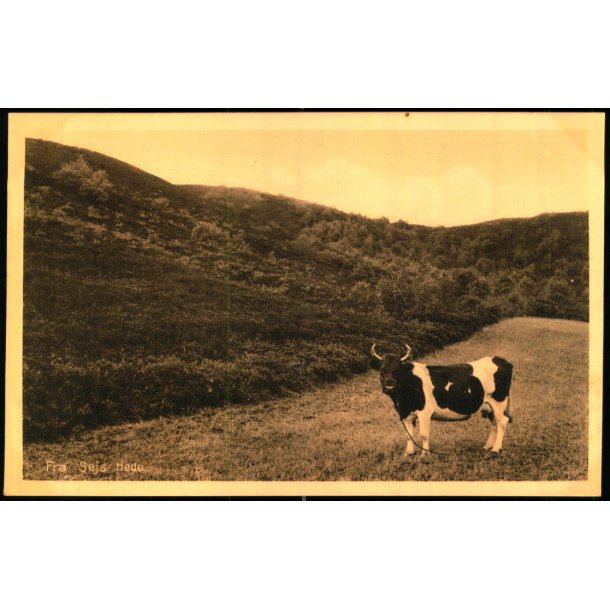 Fra Sejs Hede - Stender 41023 - Ubrugt