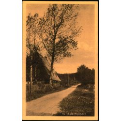 Fra Tibirke Kallehave - A. Jensens Bogh. 54167 - Ubrugt