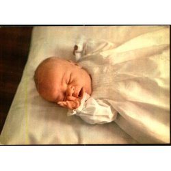 Prins Alexander - Color Cards 502 - Ubrugt