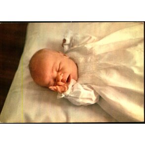 Prins Alexander - Color Cards 502 - Ubrugt