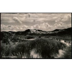 Holmsland Klit -  Bogladerne i Ringk�bing 94801