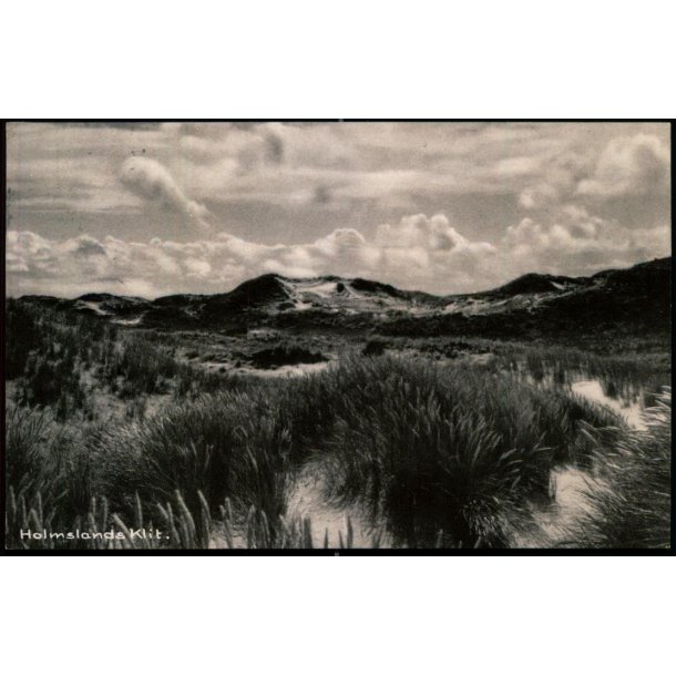 Holmsland Klit -  Bogladerne i Ringk�bing 94801