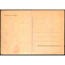 Tisvilde Hegn - Troldeskoven - Rudolf Olsen  356 - Ubrugt