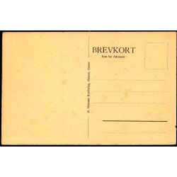 Odense - Nedergade - O. Nielsens Kortforlag Eneret u/n - Ubrugt