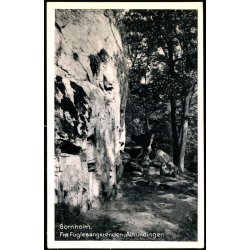 Bornholm - Fra Fuglesangsrenden - Almindingen - Stender B. 36 - Ubrugt