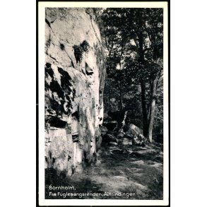 Bornholm - Fra Fuglesangsrenden - Almindingen - Stender B. 36 - Ubrugt