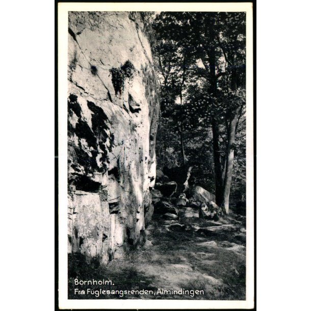 Bornholm - Fra Fuglesangsrenden - Almindingen - Stender B. 36 - Ubrugt
