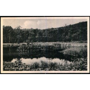 Tranemosen - Frederiksv�rk - H.C. Hansen Papir 76957 - Ubrugt