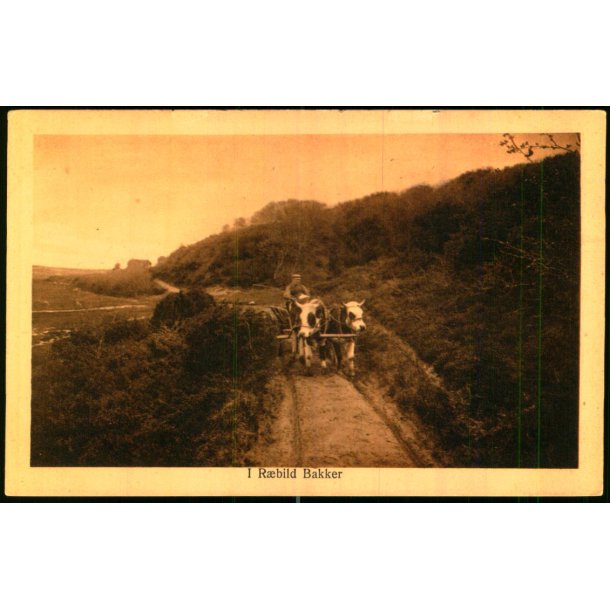 Rebild Bakker - J. Broersen 13 - Ubrugt