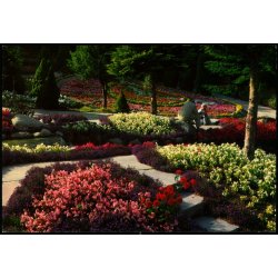 Jesperhus Blomsterpark - 8507 - Brugt