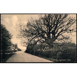 Taasinge - Ambrosius- Egen - Chr. G. Kielbergs Bogh. 5 - Ubrugt