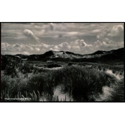 Holmsland Klit -  Bogladerne i Ringk�bing 94801 - Brugt