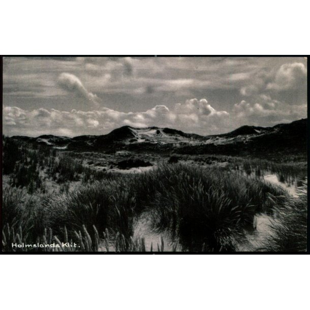 Holmsland Klit -  Bogladerne i Ringk�bing 94801 - Brugt