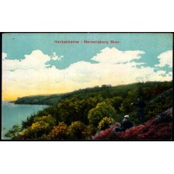 Havbakkerne - Marselisborg Skov - Alex Vincent 690 - Ubrugt