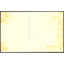 Museet - Vestergade - �r�sk�bing - C. Th. Creutz Bogh. 51582 - Ubrugt