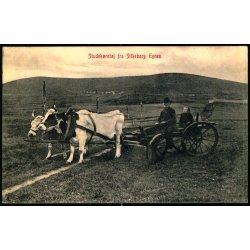 Studek�rsel fra Silkeborg Egnen - M. Digmann u/n - Brugt