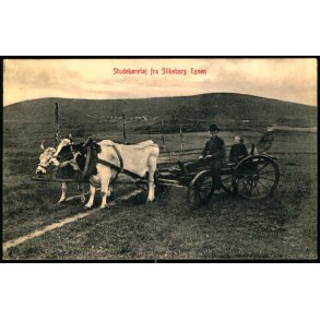 Studek�rsel fra Silkeborg Egnen - M. Digmann u/n - Brugt