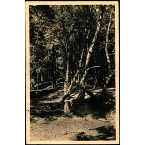 Tisvilde Hegn - R�hls Dam - Stationskiosken 104 - Brugt