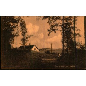 Skovleddet ved Tibirke - S. Nielsen 51265 - Ubrugt