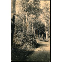 Odense - Aalykke- Skoven - Peter Alstrup 8994 - Ubrugt