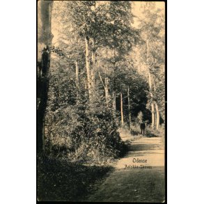 Odense - Aalykke- Skoven - Peter Alstrup 8994 - Ubrugt