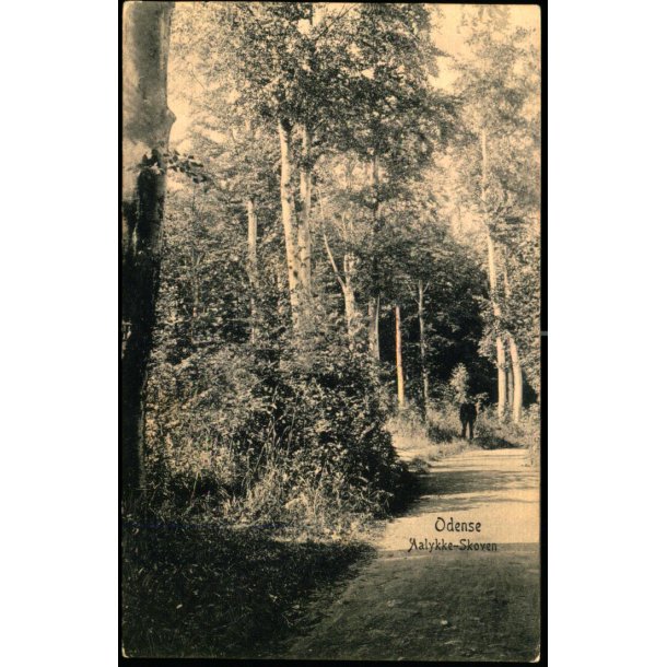 Odense - Aalykke- Skoven - Peter Alstrup 8994 - Ubrugt