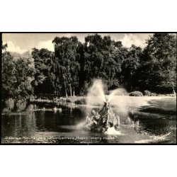 Odense - Havhesten i Munkemose - Stender O. 672 K - Ubrugt