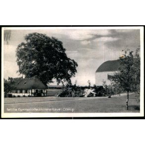 Parti fra Gymnastikh�jskolens Have i Ollerup - Ollerup Bogh. 75035 - Ubrugt