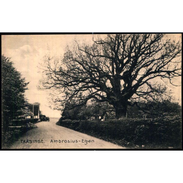 Taasinge - Ambrosius- Egen - Chr. G. Kielberg 11160 - Ubrugt