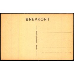 S�nders� - Dansk Lystryk u/n - Ubrugt